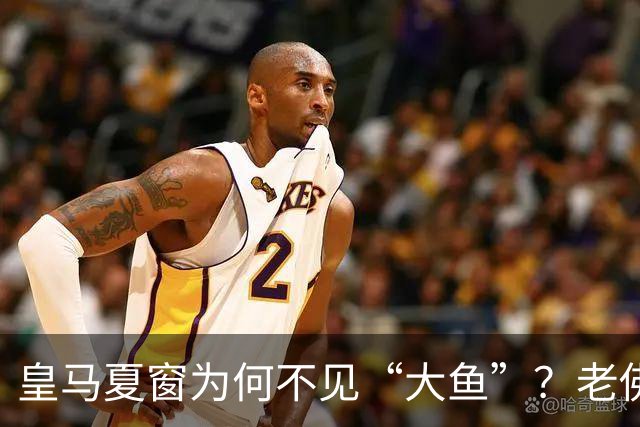 皇马夏窗为何不见“大鱼”？老佛爷按兵不动，罗德里或压轴加盟