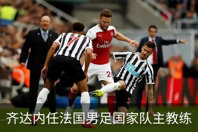 齐达内任法国男足国家队主教练